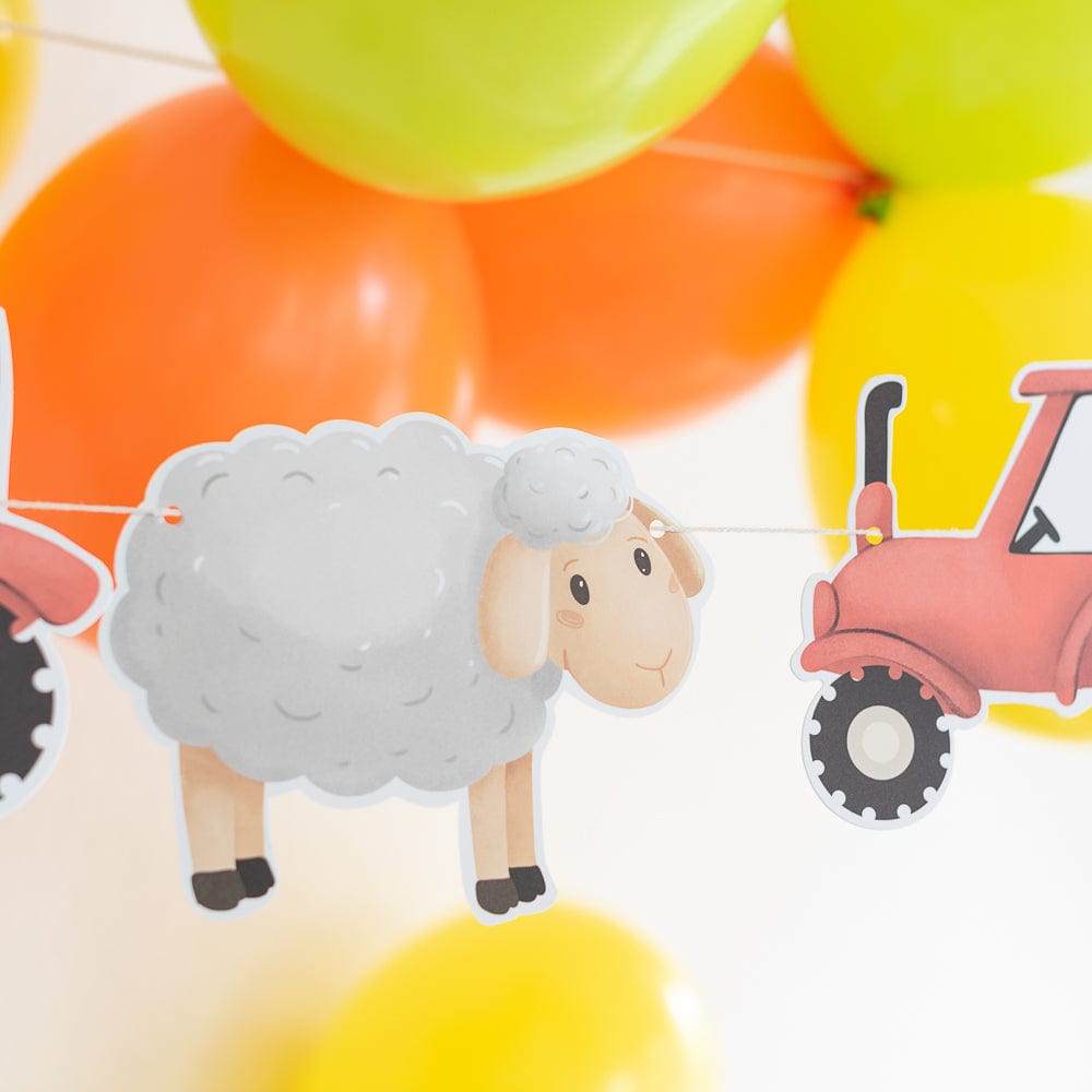 Mottobox - Bauernhof Geburtstag