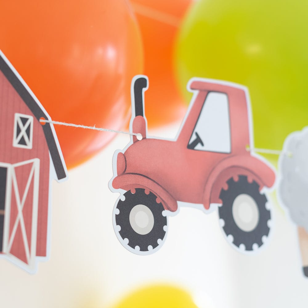 Mottobox - Bauernhof Geburtstag