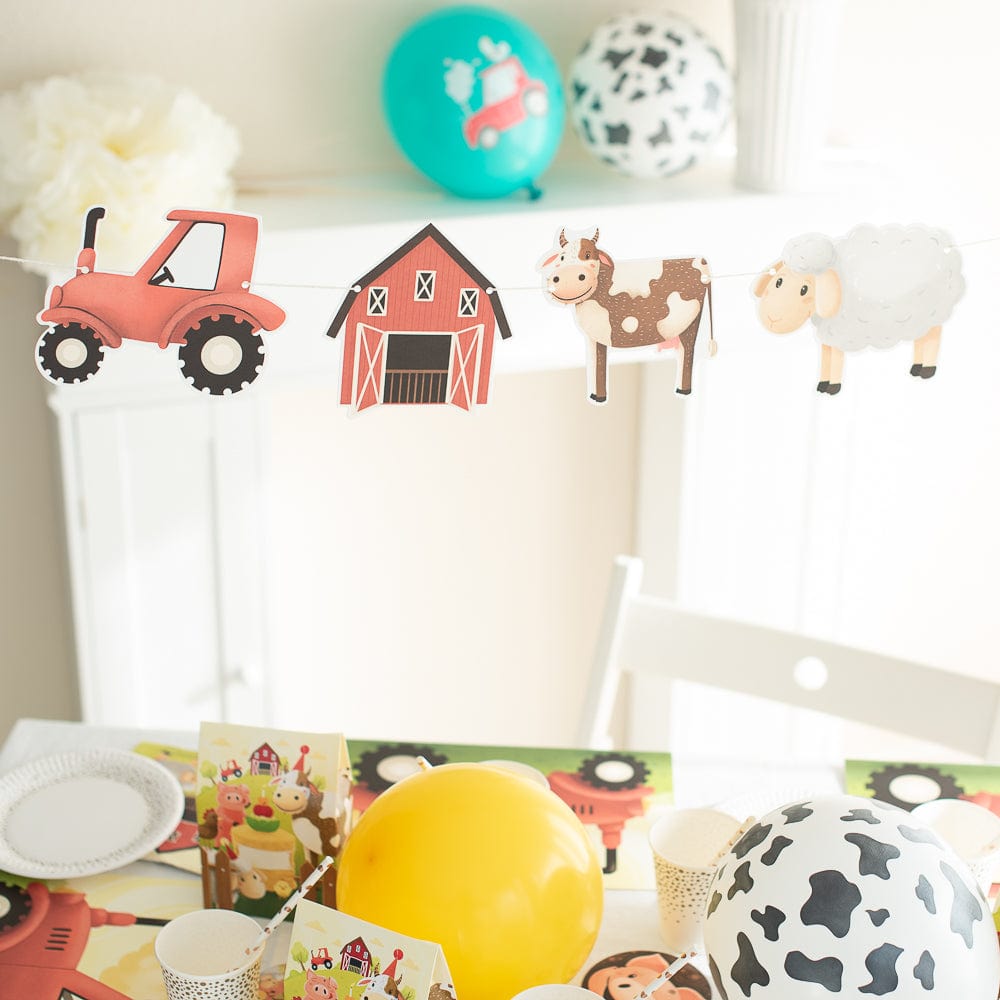 Mottobox - Bauernhof Geburtstag