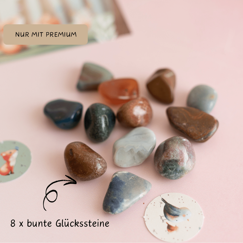 Mottobox - Bauernhof Geburtstag