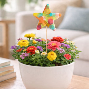 Bastelset - Bunte Sterne