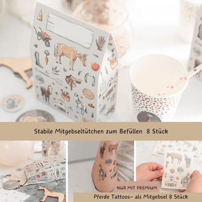 Mottobox - Pferde Geburtstag