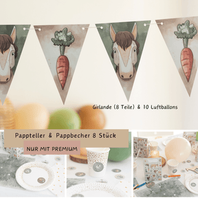 Mottobox - Pferde Geburtstag