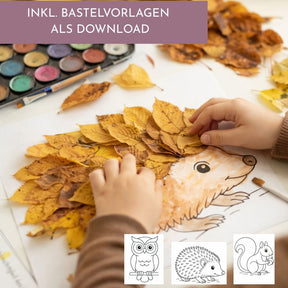 Mottobox - Waldtier-Geburtstag