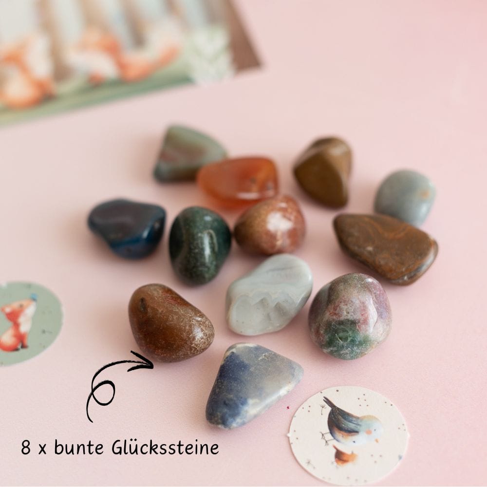 Mottobox - Waldtier-Geburtstag