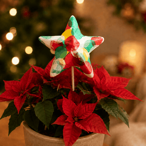 Bastelset - Weihnachtssterne